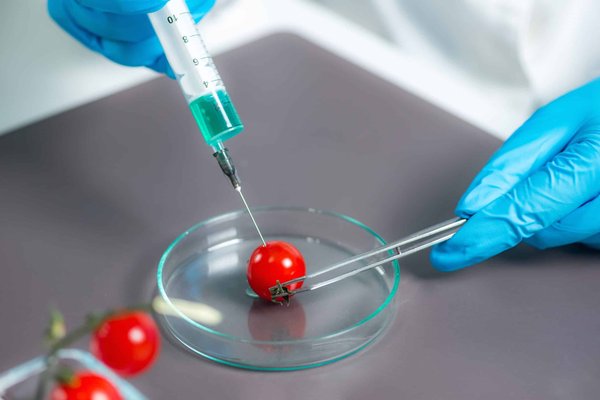 Can You Retrofit a Hybrid Powertrain into a Classic Volkswagen Beetle?